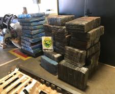 BPFron apreende cerca de 750 quilos de maconha e veículo abandonado, em Guaíra, no Oeste do Estado