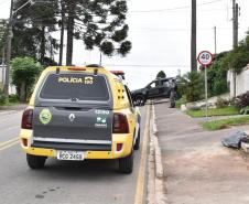 Seis pessoas são encaminhadas e drogas apreendidas durante Operação Regalo em Colombo (PR)