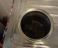 Operação no trapiche para a Ilha do Mel retira drogas de circulação no Litoral