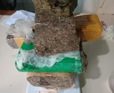 Operação no trapiche para a Ilha do Mel retira drogas de circulação no Litoral