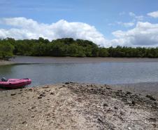 Corpo de Bombeiros localiza corpo de homem que estava desaparecido há mais de 24h em Paranaguá (PR)