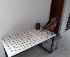 Quase 800 gramas de maconha são apreendidos pela PM em Cambé (PR)