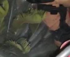 Equipe policial age rápido e cessa fogo que atingia apartamento durante a virada do ano em Matinhos (PR)