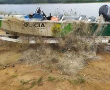 BPAmb-FV apreende mais de 500 metros de redes para pesca ilegal em Telêmaco Borba (PR)