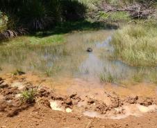 Mais de R$ 600 mil em multas são aplicados pela Polícia Ambiental por desmatamento em área de preservação em Guarapuava (PR)