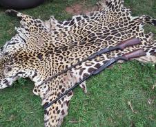 Polícia Ambiental apreende couro de uma Onça-Pintada e aplica multa de R$ 5 mil em Umuarama (PR)