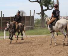 TREINAMENTO COM EQUINOS