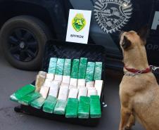 BPFron apreende mais de 26 quilos de maconha e cigarros contrabandeados em Toledo, no Oeste do estado