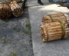 Polícia Ambiental prende homem que transportava Palmito in natura no Litoral do estado