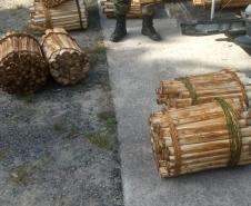 Polícia Ambiental prende homem que transportava Palmito in natura no Litoral do estado