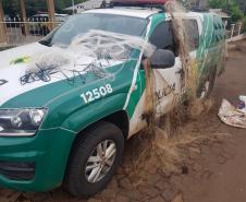 Polícia Ambiental prende homem após pescar peixes nativos no Sudoeste do estado; uma arma de fogo foi apreendida