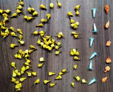 Em Matinhos, PM flagra homem com mais de 100 porções de drogas prontas para a venda