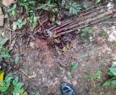 Durante patrulhamento pela Estrada Velha da Colônia Santa Cruz, na localidade conhecida 