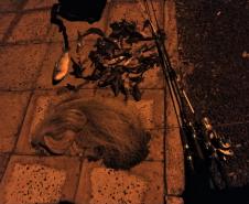 Com operação Lua Cheia, PM Ambiental lavra quatro autos de infração por caça e pesca ilegal no Norte do estado