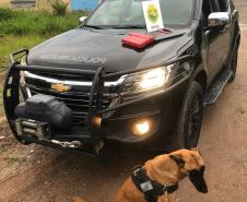 BOPE deflagra operação e cumpre nove mandados de busca e apreensão em Matinhos e Guaratuba 