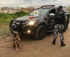 BOPE deflagra operação e cumpre nove mandados de busca e apreensão em Matinhos e Guaratuba 