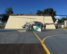 Helicóptero da PM auxilia PF na erradicação de 45 mil pés de maconha no Nordeste do estado