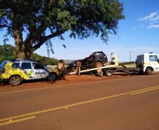 PM apreende caminhão carregado com cigarros contrabandeados no Oeste do estado