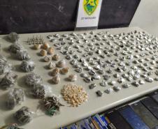 Casal é preso pela PM e mais de 1,7 mil porções de drogas são apreendidas na CIC