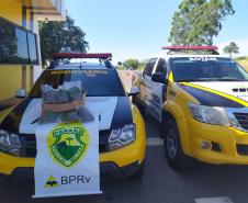 Fiscalização a ônibus termina com rapaz preso e cinco quilos de skank apreendido no Noroeste do estado