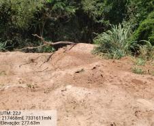 Granja que depositava frangos mortos em área de proteção permanente é autuada em R$ 10 mil pela Polícia Ambiental em Iporã (PR)