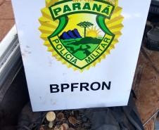 BPFron prende cinco pessoas e apreende quase 100 quilos de peixe roubado no Oeste do estado