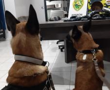 Mais de 280 quilos de maconha e mais de 1,6 quilo de haxixe são apreendidos por policiais militares do BPFron no Oeste do estado