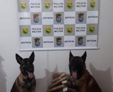 BPFron apreende mais de 11 quilos de maconha e uma arma de fogo no Oeste do estado