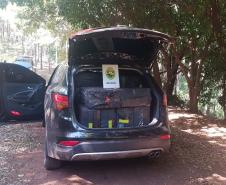 Em uma abordagem, BPFron apreende mais de R$ 1 milhão em cigarros no Oeste do estado