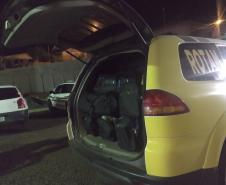 161 quilos de maconha são apreendidos por policiais militares durante a Operação Rescaldo no Centro-Sul do estado