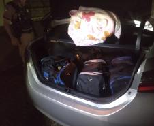 161 quilos de maconha são apreendidos por policiais militares durante a Operação Rescaldo no Centro-Sul do estado