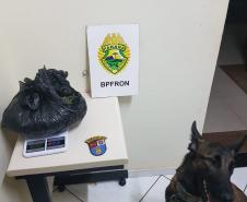 Cadetes da APMG visitam BPFron e participam de operações em fronteira, no Oeste do estado