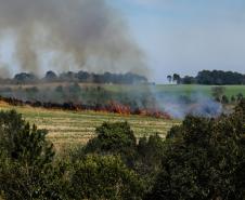 Incêndios ambientais crescem 33% no Paraná no 1.º trimestre