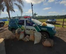 Polícia Ambiental flagra dupla pescando com redes em represa no Norte Pioneiro do estado