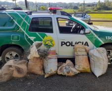 Polícia Ambiental flagra dupla pescando com redes em represa no Norte Pioneiro do estado