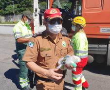 Caminhoneiros recebem marmitas e kits de primeiros socorros em ação integrada entre as Polícias Rodoviárias Estadual e Federal