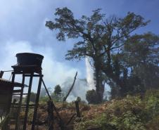 Em ação conjunta, helicóptero da PM e equipes do Corpo de Bombeiros combatem incêndio em Guaratuba (PR)