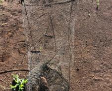 BPAmb-FV apreende armas de fogo, materiais de pesca e prende duas pessoas em situações distintas no Centro-Sul do estado