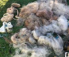 BPAmb-FV apreende armas de fogo, materiais de pesca e prende duas pessoas em situações distintas no Centro-Sul do estado