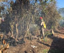 Em ação conjunta, helicóptero da PM e equipes do Corpo de Bombeiros combatem incêndio em Guaratuba (PR)