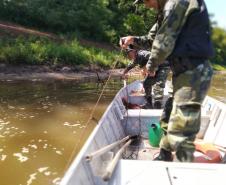 No Centro-Norte do estado, Polícia Ambiental apreende 147 quilos de peixe e redes de pesca