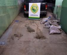No Centro-Norte do estado, Polícia Ambiental apreende 147 quilos de peixe e redes de pesca