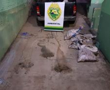 No Centro-Norte do estado, Polícia Ambiental apreende 147 quilos de peixe e redes de pesca