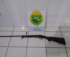 BPAmb-FV apreende 227 unidades de palmito e uma espingarda em Morretes (PR)