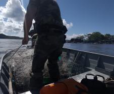 Redes de pesca são apreendidas próximo ao Porto de Paranaguá, no Litoral do estado