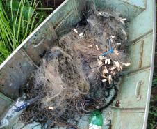 Polícia Ambiental prende quatro homens e apreende 89 quilos de peixes no Norte Pioneiro