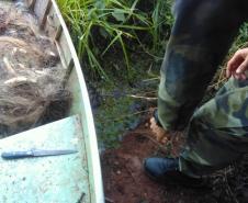 Polícia Ambiental prende quatro homens e apreende 89 quilos de peixes no Norte Pioneiro