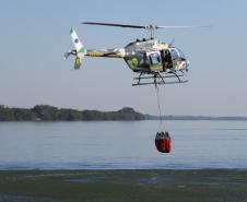 Incêndios ambientais crescem 33% no Paraná no 1.º trimestre
