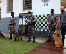 Cães de faro do BOPE se aposentam após 9 anos de atuação pelo BOPE; animais apreenderam mais de 2 toneladas de drogas