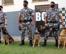 Cães de faro do BOPE se aposentam após 9 anos de atuação pelo BOPE; animais apreenderam mais de 2 toneladas de drogas